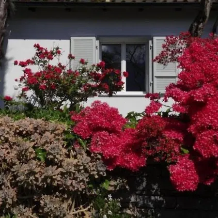 Eco-casa Paradiso G, Schwimmbad, Garten Und Wunderschone Seesicht, Ruhig Und Sonnig Gelegen